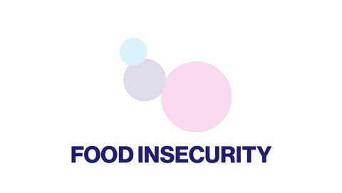 Red Food Insecurity Logo DIH Spotlight: Food Insecurity & FreshEBT - Discovery & Innovation Hub